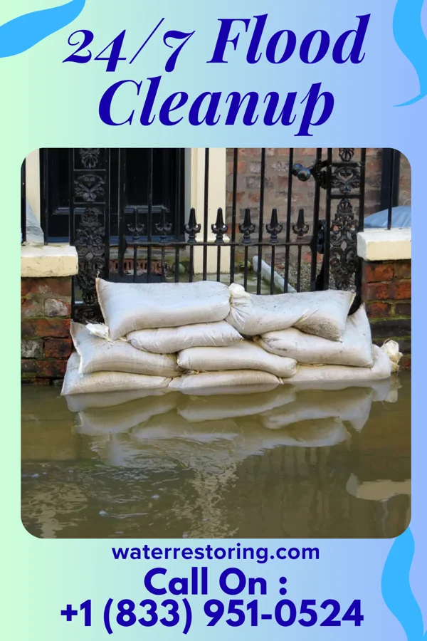 24/7 Flood Cleanup in Whitemarsh Island, GA