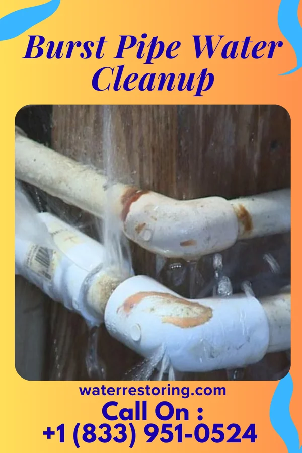 Burst Pipe Water Cleanup in Whitemarsh Island, GA