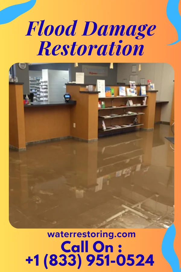 Flood Damage Restoration in Whitemarsh Island, GA
