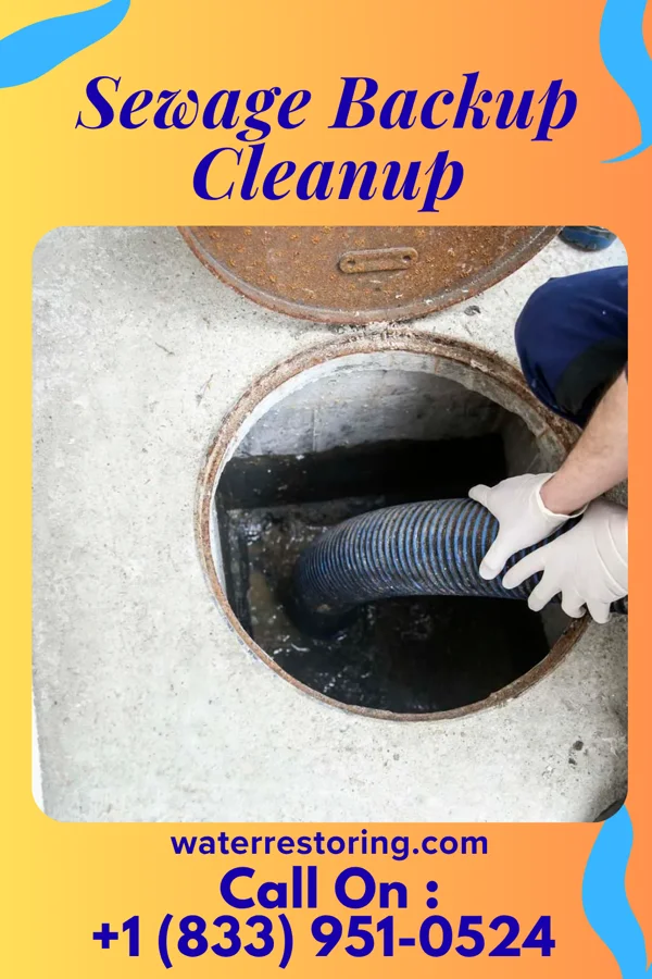 Sewage Backup Cleanup in Whitemarsh Island, GA