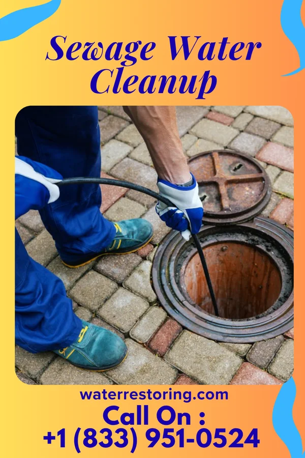 Sewage Water Cleanup in Whitemarsh Island, GA